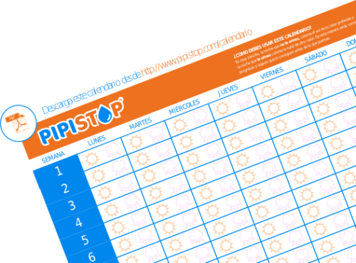 Calendario Miccional